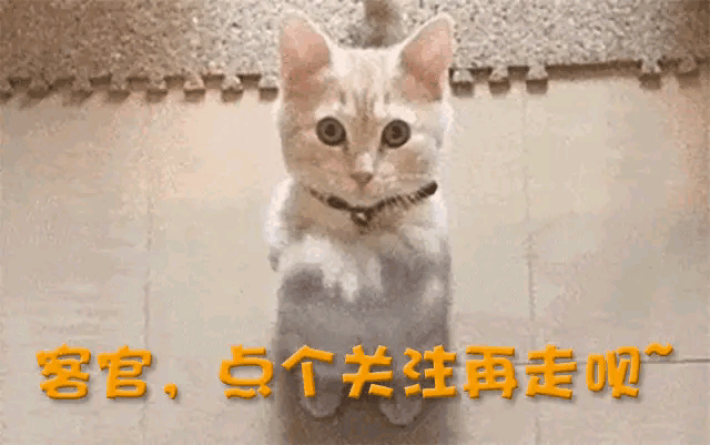 ff, 就开过会讨
